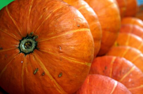 entdecken sie eine auswahl an wintergemüse, das ihre mahlzeiten in der kalten jahreszeit gesund und lecker macht.